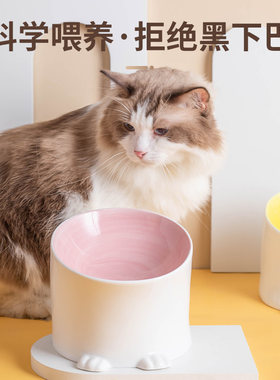 斜口歪脖子高脚保护颈椎宠物猫