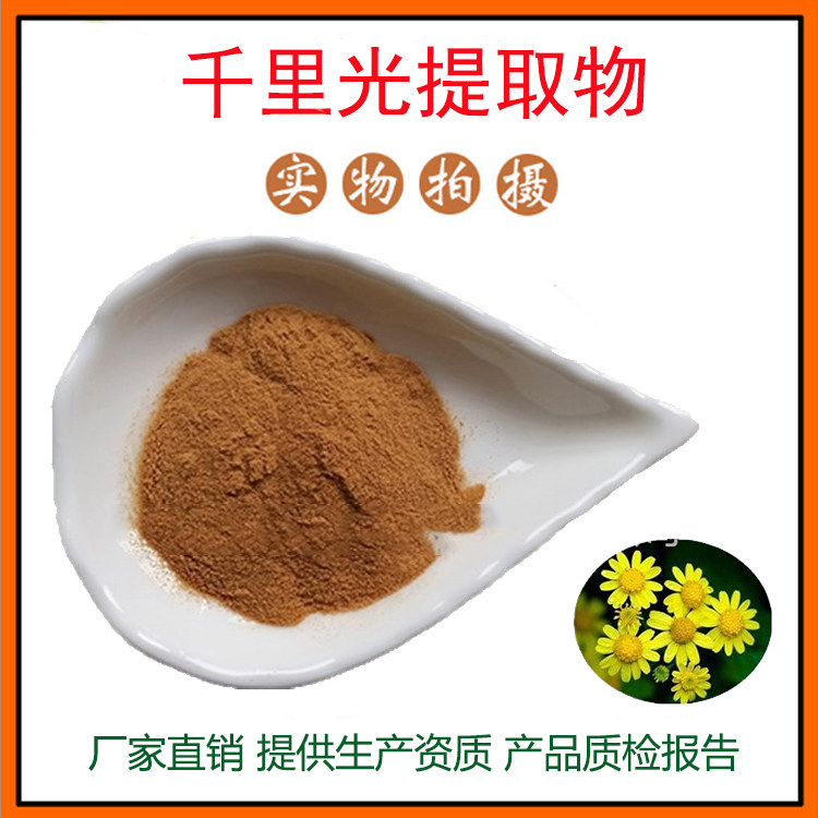 千里光提取物30:1千里光粉 一扫光/千里及/九里明粉 量大从优包邮