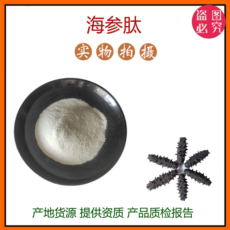 海参肽粉 小分子低聚肽800Dal 活性蛋白肽食品级固体饮料 包邮