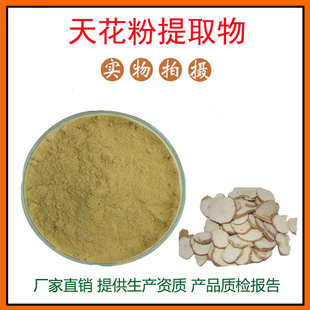 天花粉提取物30:1水溶性天花粉 栝楼根/瓜蒌根粉 量大从优 包邮