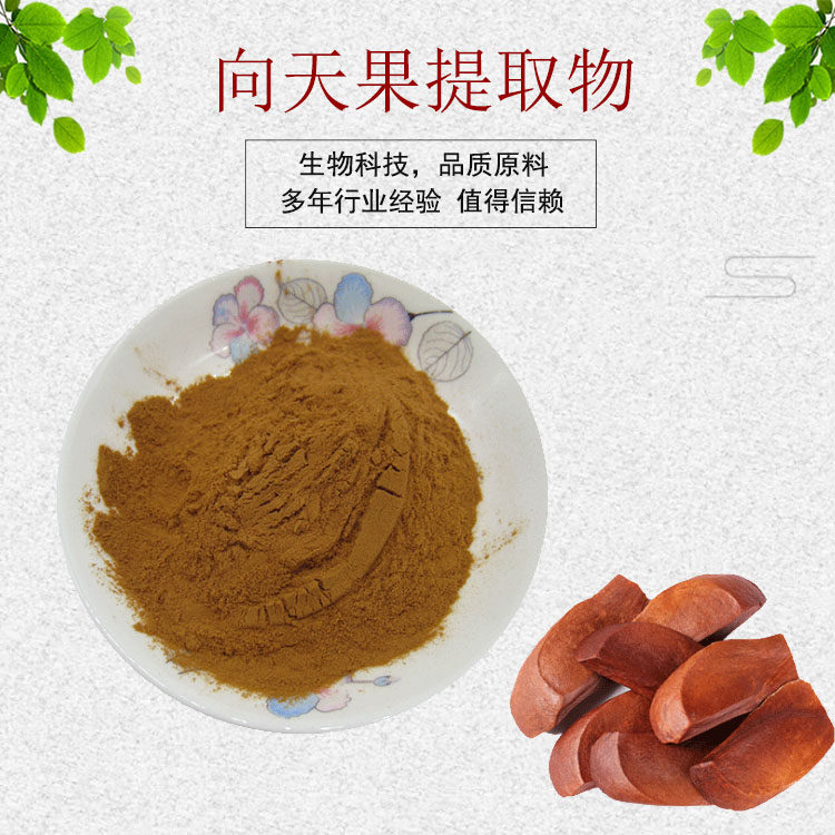 向天果提取物30:1 向天果浓缩粉 量大从优 现货包邮