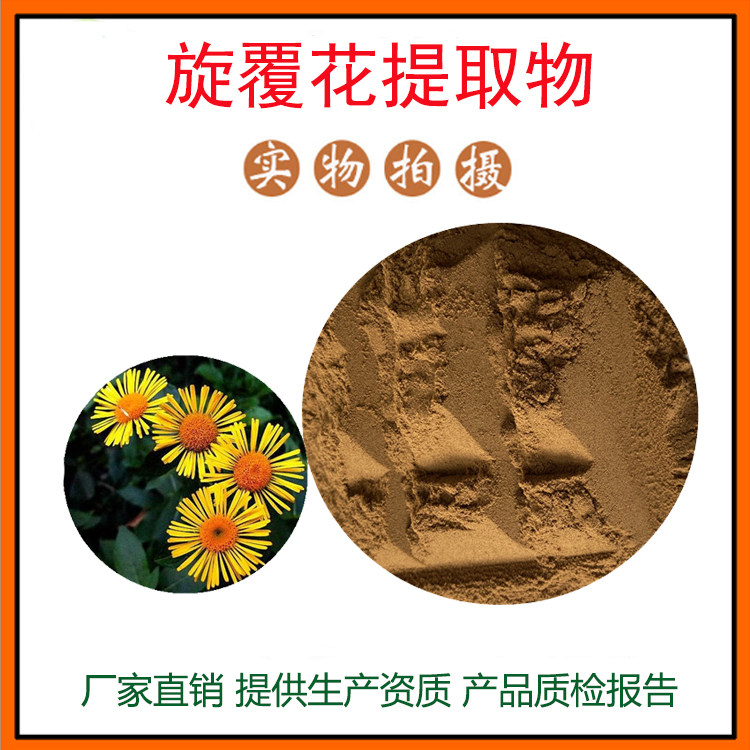 旋覆花提取物30:1 金佛花/旋覆花粉 量大从优 资质齐全 现货包邮