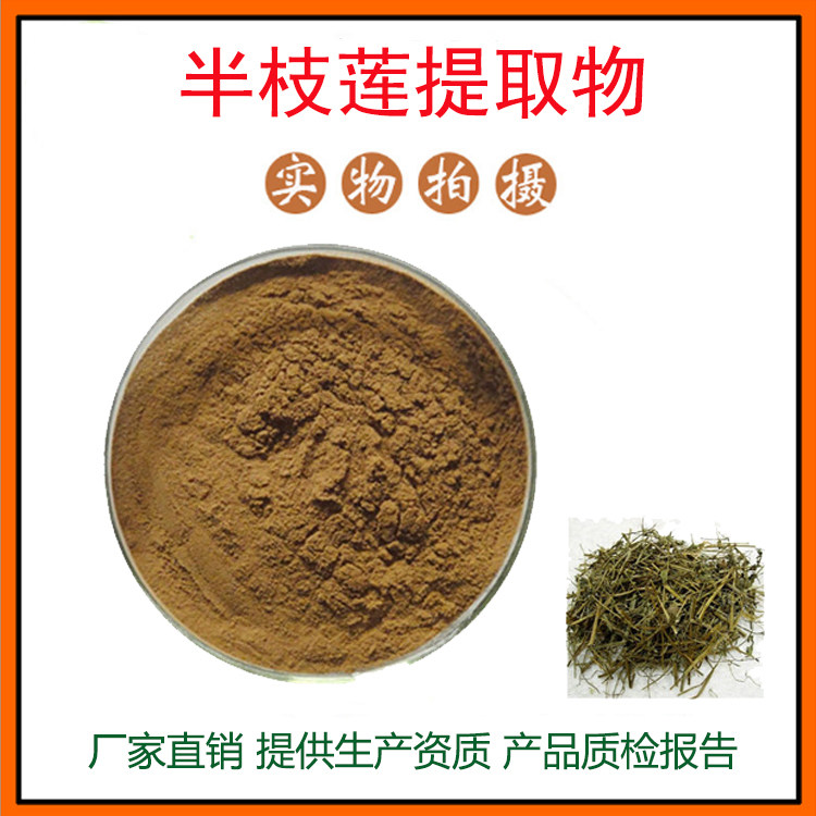 半枝莲提取物30:1 半枝莲粉 水溶性佳 量大从优 资质齐全 包邮