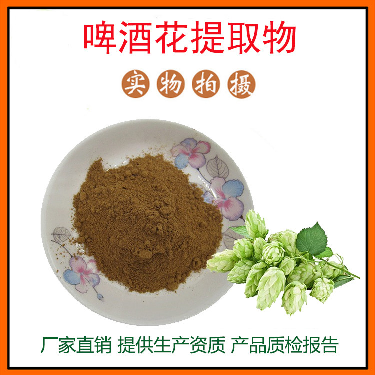 啤酒花提取物30:1啤酒花粉 中药材提取物 量大从优 资质齐全 包邮