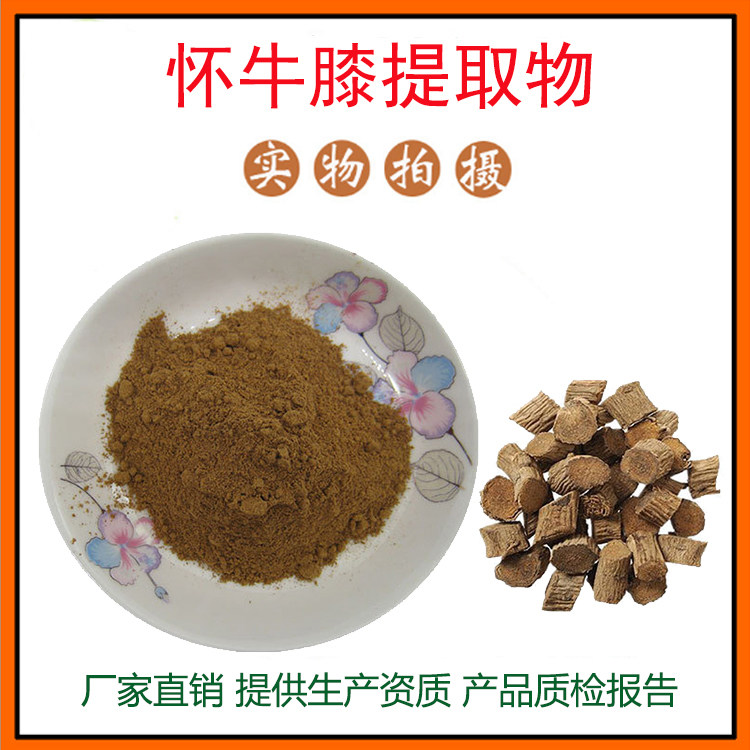怀牛膝提取物30:1 怀牛膝粉 川牛膝提取物 怀牛膝多糖 包邮
