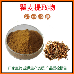 瞿麦提取物30:1 野麦/石竹草/巨麦粉 高山瞿麦粉 量大从优 包邮