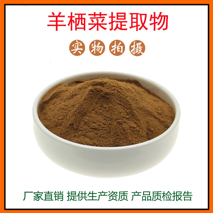 羊栖菜提取物30:1 羊栖菜粉 羊栖菜多糖 量大从优 资质齐全 包邮