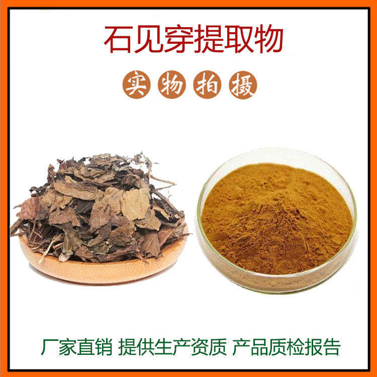 石见穿提取物30:1 华鼠尾草浓缩粉 石见穿粉 现货包邮
