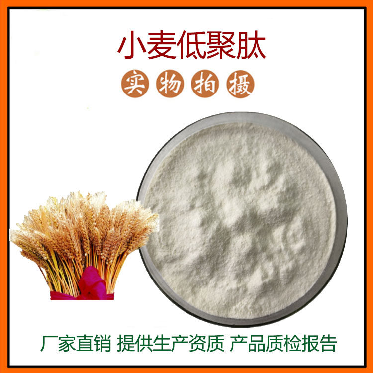 小麦低聚肽 小麦胚芽提取物 小麦苗提取物 小麦膳食纤维 现货包邮