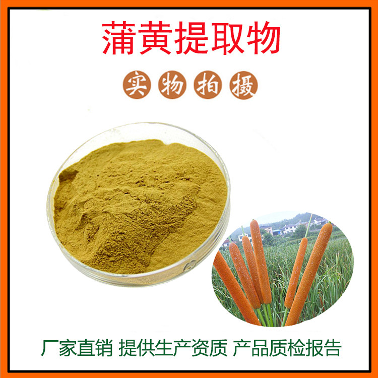 蒲黄提取物30:1 蒲黄粉 蒲草提取物 量大从优 资质齐全 现货包邮
