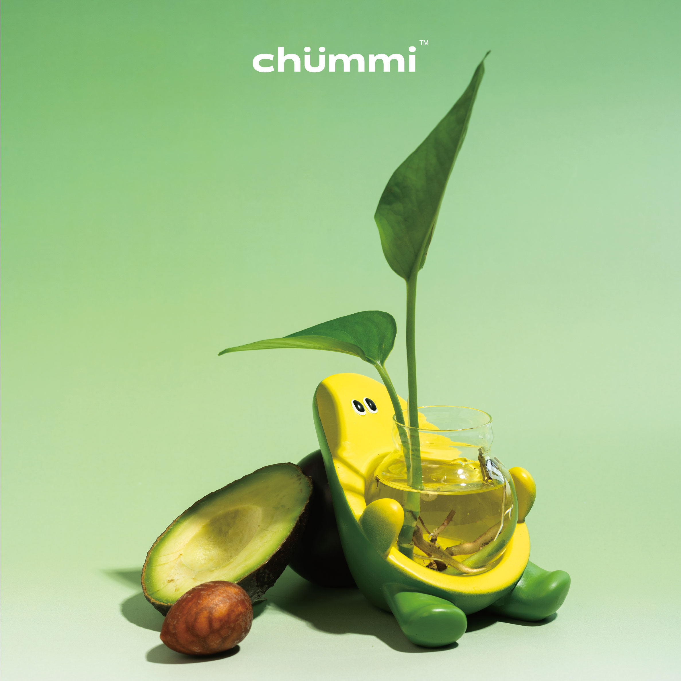 chummi 关心植物系列 水培花器办公室绿植家居摆件创意可爱礼物