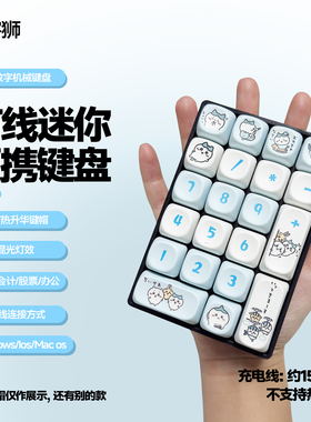 复客狮F21有线数字小键盘计算办公财务会记迷你混光便携机械键盘