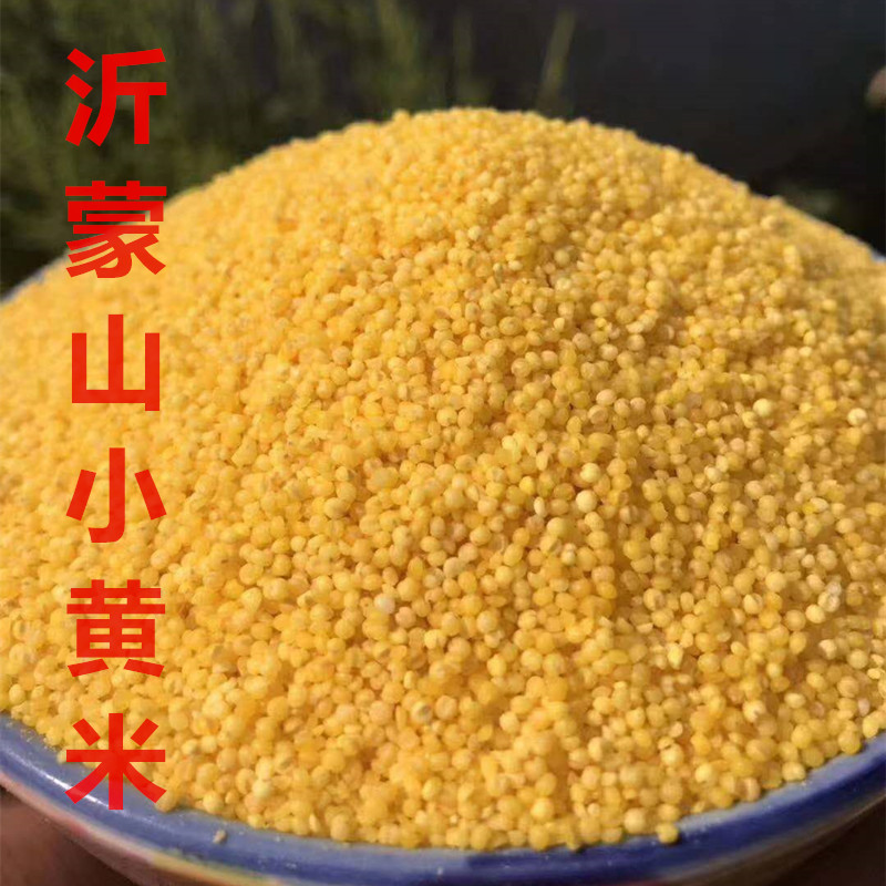 小黄米新米月子米5斤农家特产