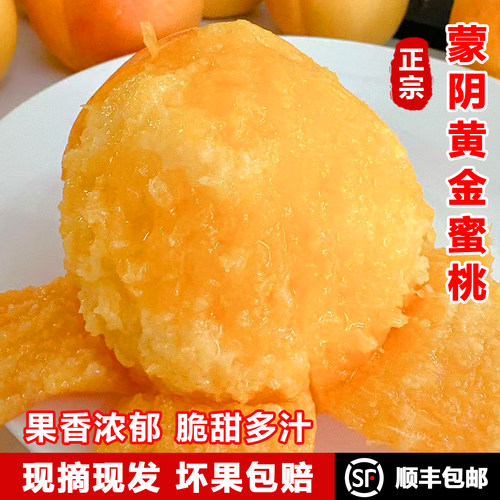 山东蒙阴黄油桃新鲜水果现摘现发