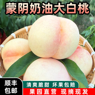 大白桃映霜红新鲜水果现摘现发当季整箱山东蒙阴特大奶油白桃脆桃