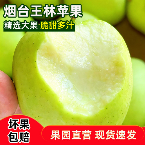 正宗烟台王林苹果新鲜水果当季