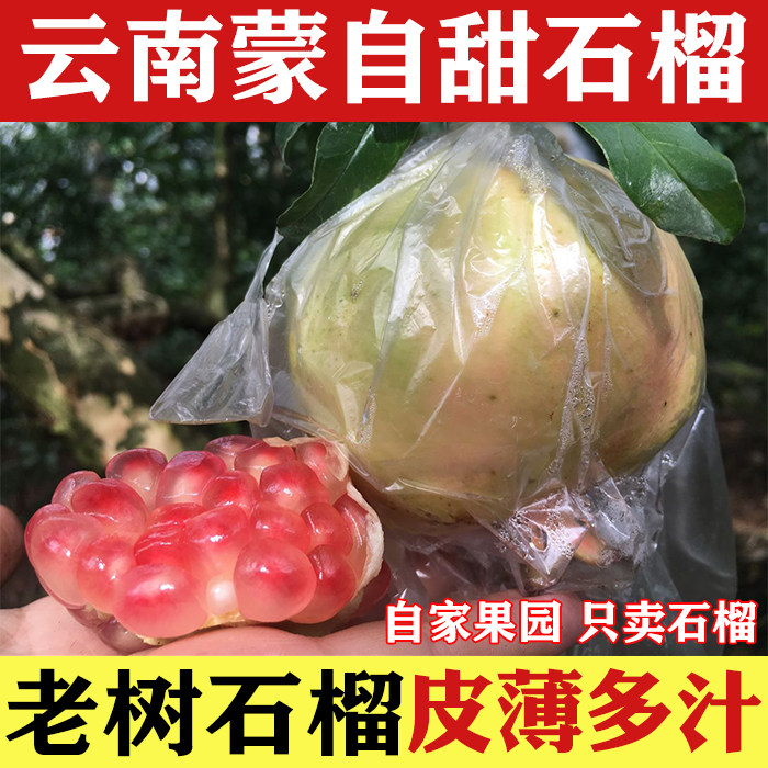 云南蒙自石榴水果应季皮薄多汁