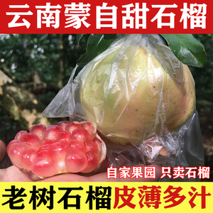 云南蒙自石榴水果应季皮薄多汁