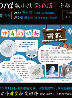 d129雪狐小报电子版word模板电脑手抄报保护动物北极狐狸简报