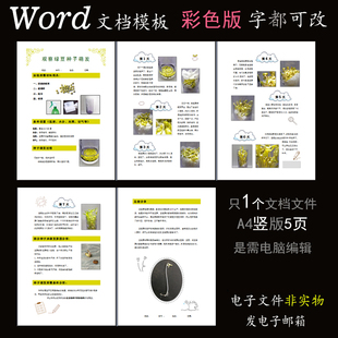 Z183绿豆芽观察文档1款5页Word模板植物种子萌发记录范本