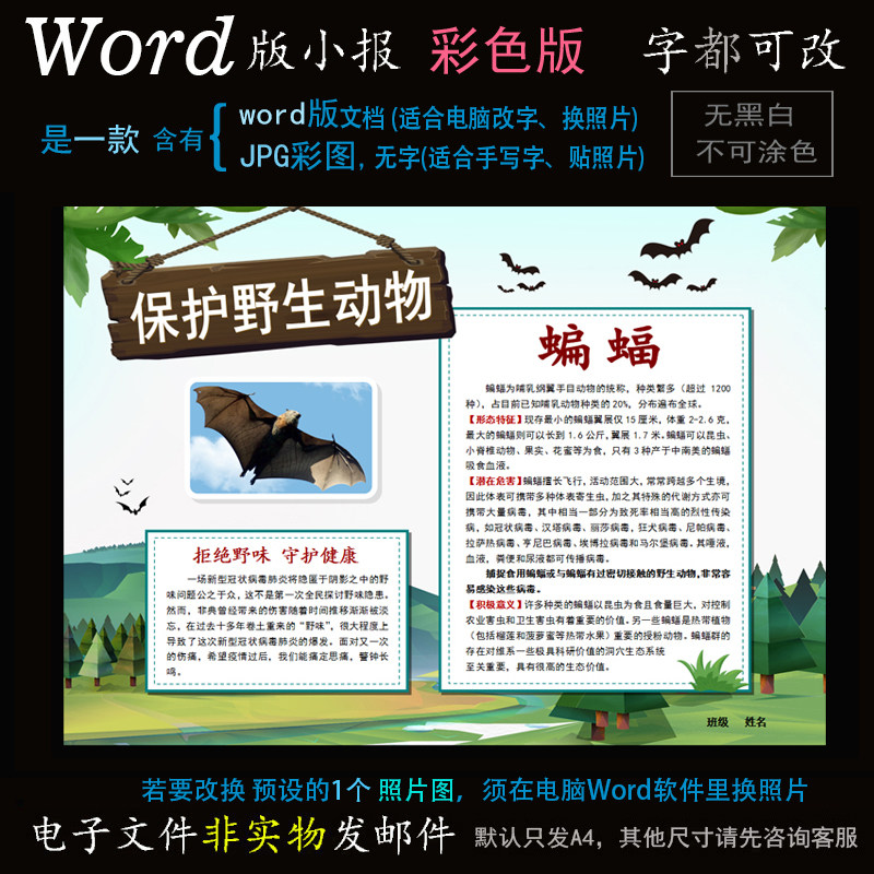 d101蝙蝠小报电子版word模版电脑手抄报保护野生动物简报