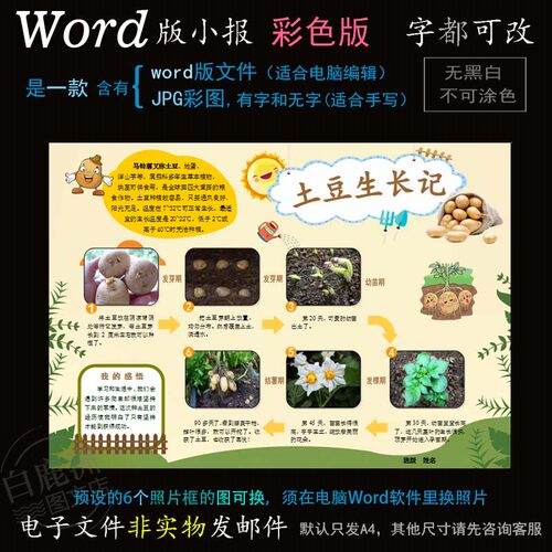 z109土豆生长小报电子版word模板电脑手抄报植物马铃薯成长简报