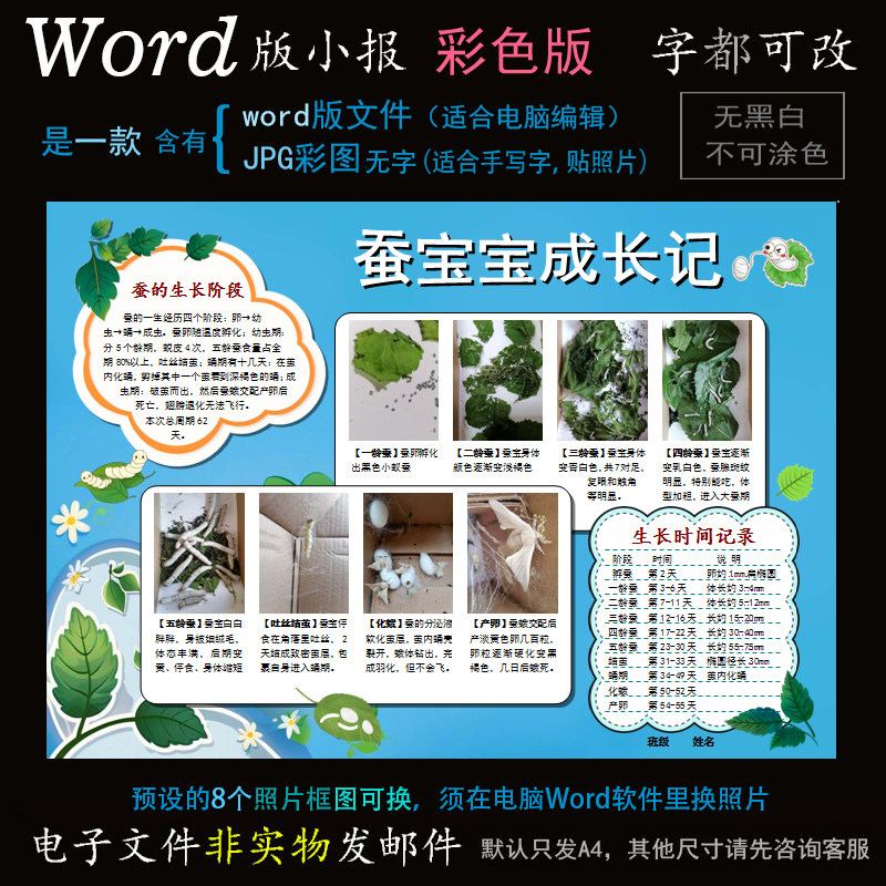 D126养蚕小报电子版Word模板电脑手抄报小动物蚕一生长成长简报