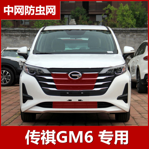 传祺GM6水箱防虫网防柳絮网中网改装专用冷凝器保护网配件2019款