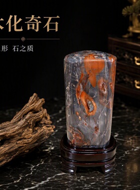 新疆木化石 包邮正品原石 奇石摆件自然石 硅化木精品中式客厅