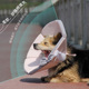 软伊丽莎白圈狗颈圈脖套大中型犬舒适宠物猫咪头套伊莉莎白猫头套
