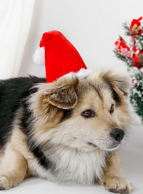 宠物圣诞节装饰用品可爱头饰毛绒小红帽狗狗猫咪圣诞节日装扮帽子