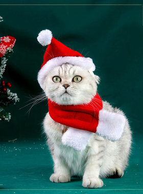 ABLAZE ZAI宠物圣诞衣服节日服饰斗篷猫咪用品保暖披风宠物派对