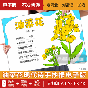 油菜花现代诗歌手抄报模板电子版黑白线稿打印涂色冰心四年级春天