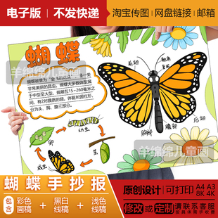 蝴蝶生长过程手抄报模板电子版竖版线稿打印涂色昆虫自然笔记绘画