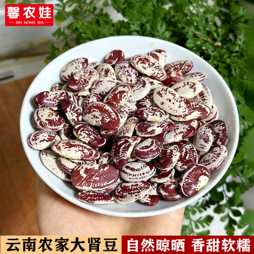 云南荷包豆大肾豆3斤包邮