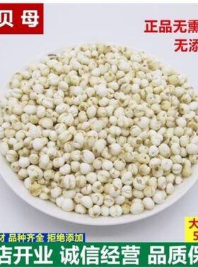 川贝母止咳儿童500克包邮