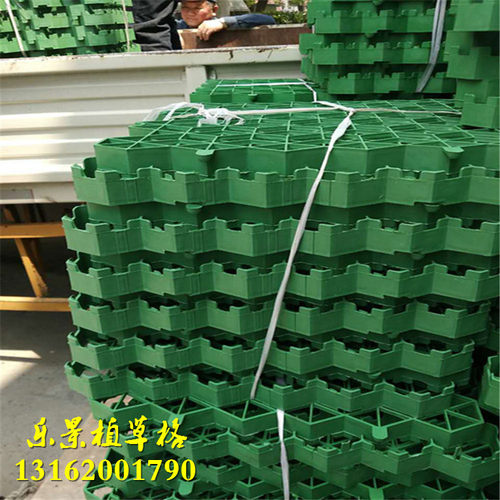 新型格轻便塑料 草坪格停车场位消防车道斜坡绿化种植绿色 植草格