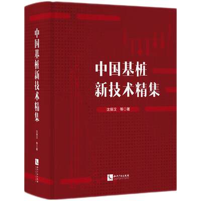 中国基桩新技术精集 桩基础文集 桩基新技术 桩基施工技术 知识产权出版社