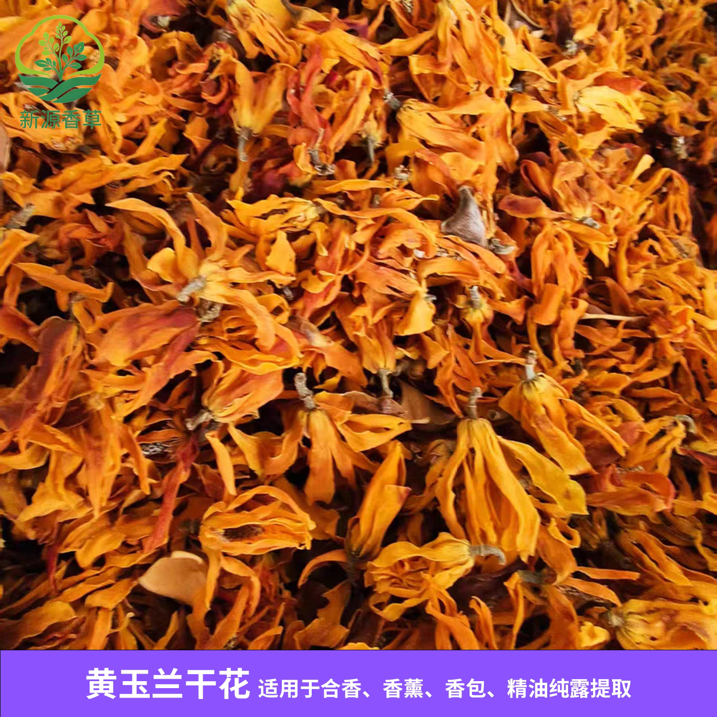 黄玉兰干花 冻干黄玉兰干花 合香薰香料