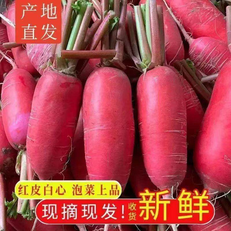 红萝卜农家自产红皮白心胭脂红萝卜水果清甜新鲜自种现挖炒菜泡菜,水产肉类/新鲜蔬果/熟食,萝卜/胡萝卜,淘宝优惠券,粉丝福利购,淘宝优惠卷