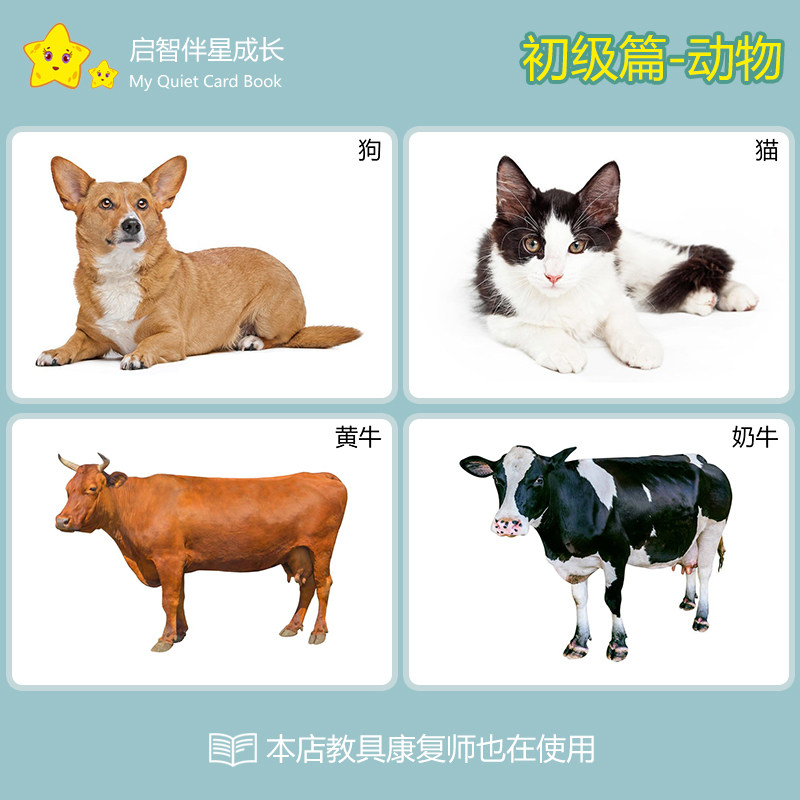 认知动物卡片名词儿童发育迟缓