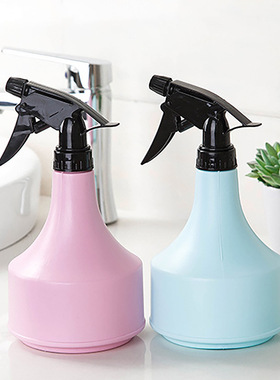 家用消毒喷水壶浇水壶手压式园艺小喷壶洒水壶浇花多肉植物喷雾壶