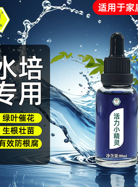 活力小精灵水培植物专用营养液富贵竹转运竹巴西木郁金香绿萝铜钱