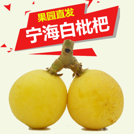 超甜宁海白枇杷鲜果大果新鲜白沙白玉枇杷果孕妇水果批杷当季琵琶