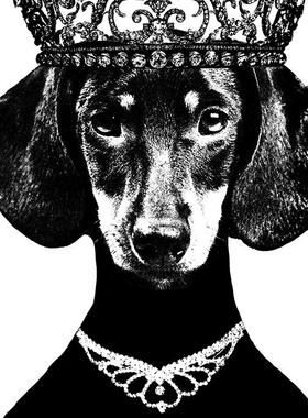 D[现货]Ulrika Eleonora with crown/北欧海报/装饰画/皇冠狗狗