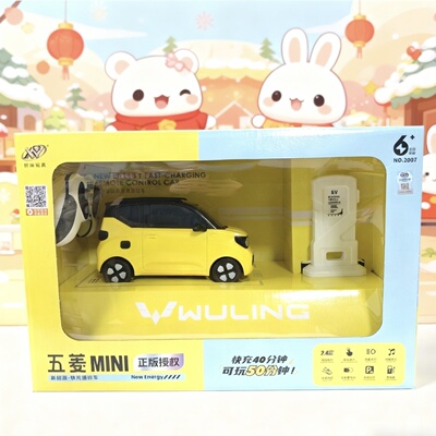 新款轩纳遥控新能源真遥控玩具小汽车模型生日迷你汽车礼物