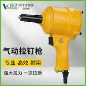 臣子气动铆钉枪两爪枪式 拉钉枪工业级抽芯铆钉钳铆钉机工具拉铆枪
