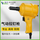 臣子气动铆钉枪两爪枪式 拉钉枪工业级抽芯铆钉钳铆钉机工具拉铆枪