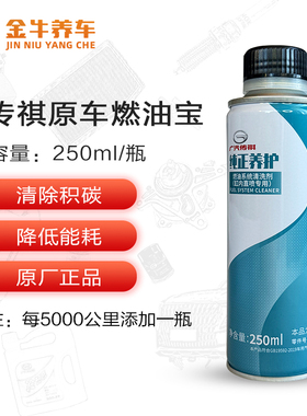 广汽传祺GS3GS5GS4GS8GM6GM8影豹缸内直喷燃油系统清洗剂养护剂