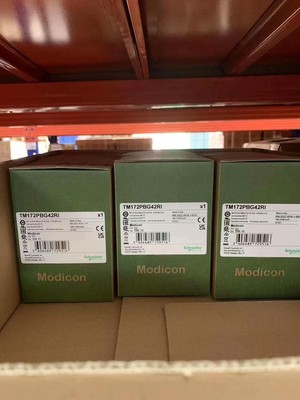 编程控制器TM172PBG42RI